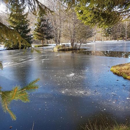 Insolite Chalet De Peche Serenite - Bien Etre Ban-sur-Meurthe-Clefcy 外观 照片