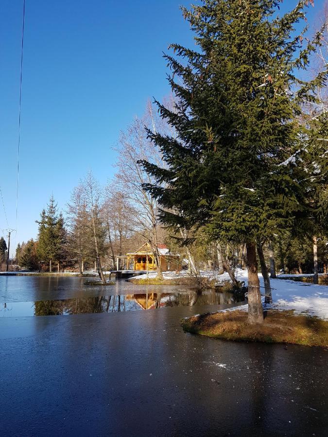 Insolite Chalet De Peche Serenite - Bien Etre Ban-sur-Meurthe-Clefcy 外观 照片
