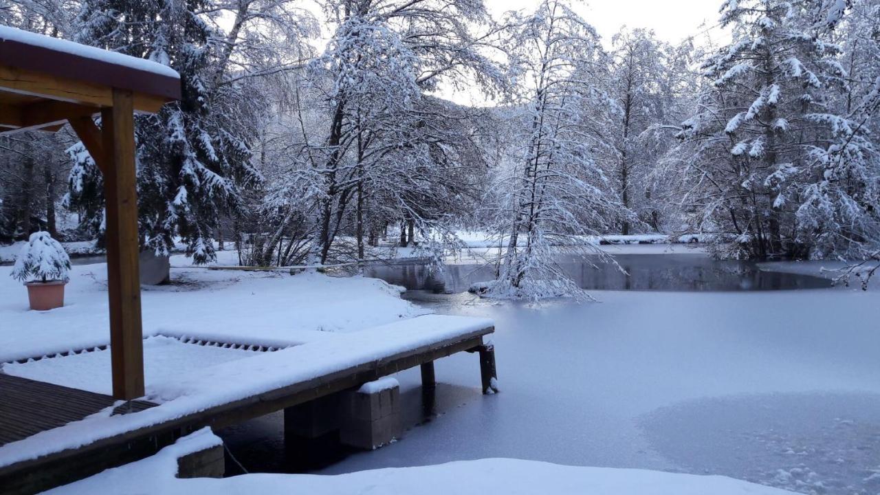 Insolite Chalet De Peche Serenite - Bien Etre Ban-sur-Meurthe-Clefcy 外观 照片