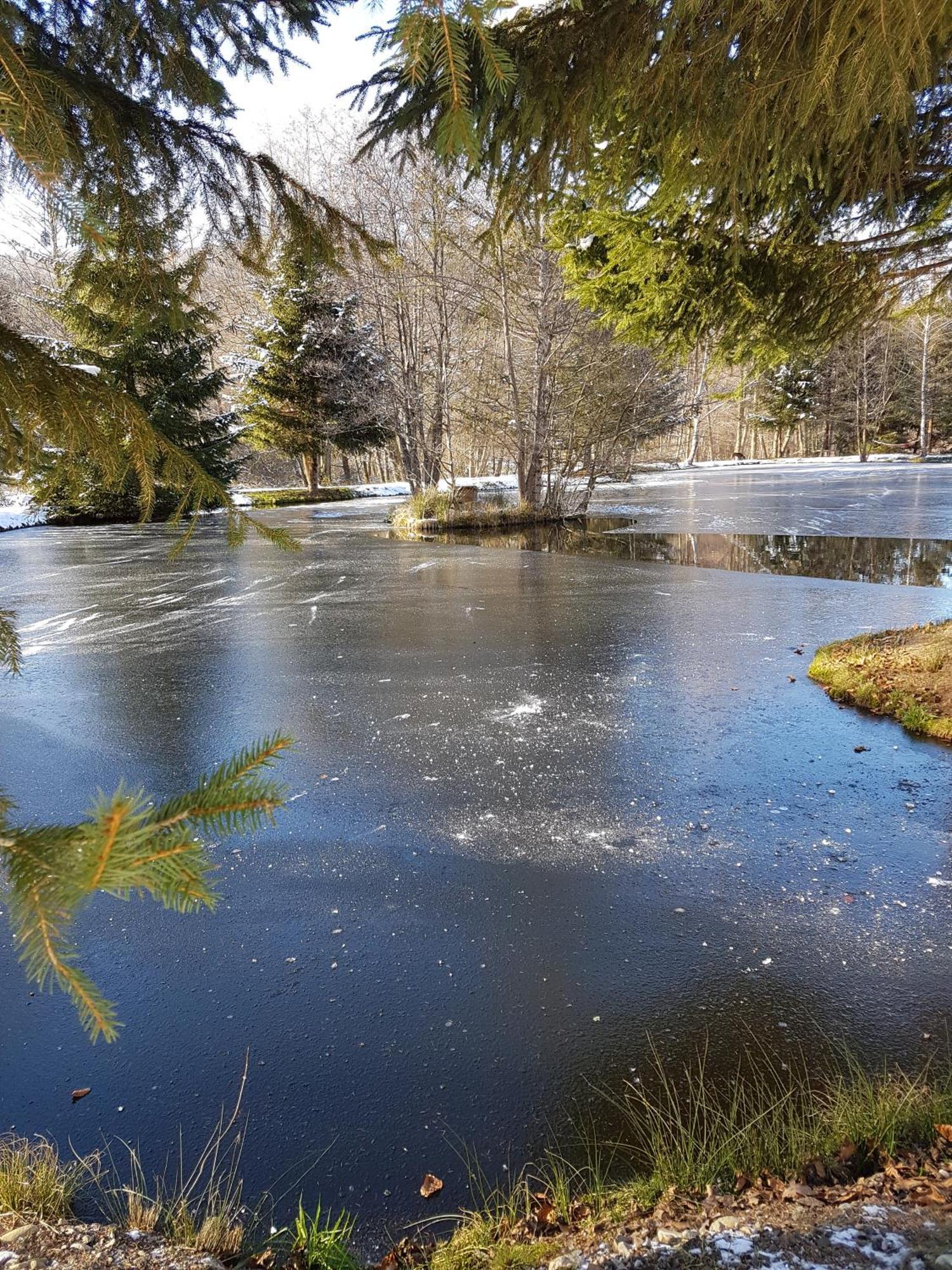 Insolite Chalet De Peche Serenite - Bien Etre Ban-sur-Meurthe-Clefcy 外观 照片
