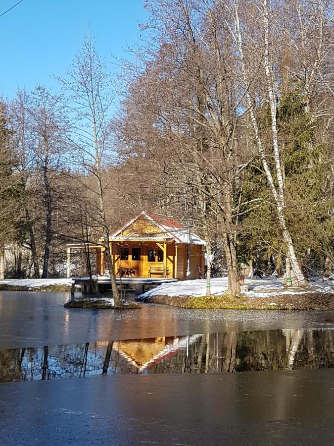 Insolite Chalet De Peche Serenite - Bien Etre Ban-sur-Meurthe-Clefcy 外观 照片