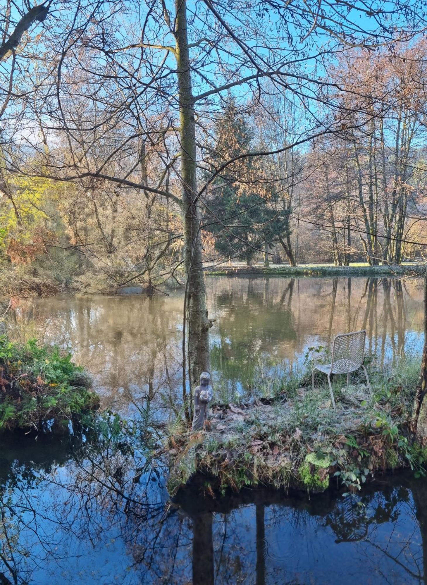 Insolite Chalet De Peche Serenite - Bien Etre Ban-sur-Meurthe-Clefcy 外观 照片